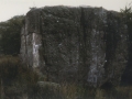 Sansonarria (Aballarri)