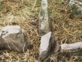 Antxista Garaikoa artamugarria