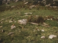 Tximistako harrespila