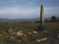 Eteneta