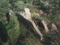 Arritzieta