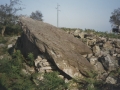 Sagastietako Lepua