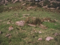Aballarri