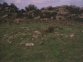 Aballarri