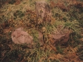 Alzustako Artamugarria