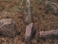 Antxista Garaikoa Artamugarria