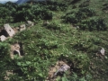 Arleorko Zabala
