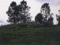 Elurzulo