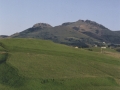 Langarda