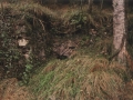 Mikelabilgo Karobia