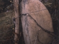 Mugarriluze
