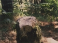 Olaberragako Artamugarria