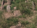 Onyi