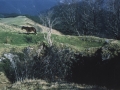 Tximistako Elurzuloa