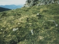 Tximistako Egia
