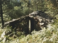 Borda