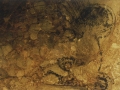 Labar-pintura