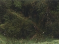 Paisaia naturala