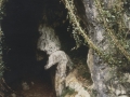 Haitzuloa