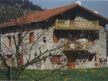 Zuhaitza