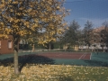Tenis jokalekua