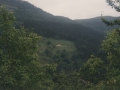 Basoa