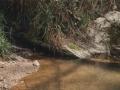 Erreka