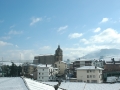 Urnieta elurturik