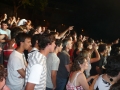 CeltasCortos2