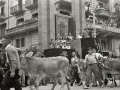 VISITA DE FRANCISCO FRANCO A LA LOCALIDAD DE TOLOSA. (Foto 12/21)