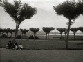 VISTA DE UN PARQUE DE LA LOCALIDAD DE IRUN. (Foto 1/1)