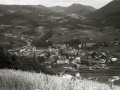 VISTA GENERAL DE LA LOCALIDAD DE TOLOSA. (Foto 1/1)