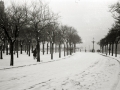 VISTAS DE SAN SEBASTIAN NEVADO: VIADUCTO DE IZTUETA, PASEO DEL DUQUE DE MANDAS, AVENIDA DE LA LIBERTAD, PUENTE MARIA CRISTINA, PASEO DE LOS FUEROS, PASEO DE LA REPUBLICA ARGENTINA, PLAZA DE OKENDO, ALAMEDA DEL BOULEVARD Y JARDINES DE ALDERDI EDER. (Foto 1/16)