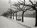 VISTAS DE SAN SEBASTIAN NEVADO: VIADUCTO DE IZTUETA, PASEO DEL DUQUE DE MANDAS, AVENIDA DE LA LIBERTAD, PUENTE MARIA CRISTINA, PASEO DE LOS FUEROS, PASEO DE LA REPUBLICA ARGENTINA, PLAZA DE OKENDO, ALAMEDA DEL BOULEVARD Y JARDINES DE ALDERDI EDER. (Foto 2/16)