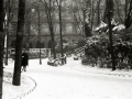 VISTAS DE SAN SEBASTIAN NEVADO: VIADUCTO DE IZTUETA, PASEO DEL DUQUE DE MANDAS, AVENIDA DE LA LIBERTAD, PUENTE MARIA CRISTINA, PASEO DE LOS FUEROS, PASEO DE LA REPUBLICA ARGENTINA, PLAZA DE OKENDO, ALAMEDA DEL BOULEVARD Y JARDINES DE ALDERDI EDER. (Foto 6/16)