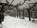 VISTAS DE SAN SEBASTIAN NEVADO: VIADUCTO DE IZTUETA, PASEO DEL DUQUE DE MANDAS, AVENIDA DE LA LIBERTAD, PUENTE MARIA CRISTINA, PASEO DE LOS FUEROS, PASEO DE LA REPUBLICA ARGENTINA, PLAZA DE OKENDO, ALAMEDA DEL BOULEVARD Y JARDINES DE ALDERDI EDER. (Foto 9/16)