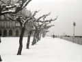 VISTAS DE SAN SEBASTIAN NEVADO: VIADUCTO DE IZTUETA, PASEO DEL DUQUE DE MANDAS, AVENIDA DE LA LIBERTAD, PUENTE MARIA CRISTINA, PASEO DE LOS FUEROS, PASEO DE LA REPUBLICA ARGENTINA, PLAZA DE OKENDO, ALAMEDA DEL BOULEVARD Y JARDINES DE ALDERDI EDER. (Foto 10/16)