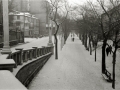 VISTAS DE SAN SEBASTIAN NEVADO: VIADUCTO DE IZTUETA, PASEO DEL DUQUE DE MANDAS, AVENIDA DE LA LIBERTAD, PUENTE MARIA CRISTINA, PASEO DE LOS FUEROS, PASEO DE LA REPUBLICA ARGENTINA, PLAZA DE OKENDO, ALAMEDA DEL BOULEVARD Y JARDINES DE ALDERDI EDER. (Foto 16/16)