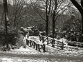 VISTAS DE SAN SEBASTIAN NEVADO. (Foto 40/46)