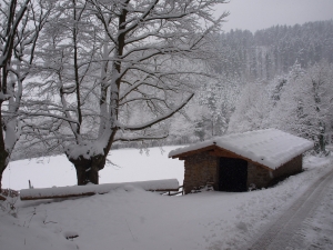 Borda eta pagoak Lakiolara bidean