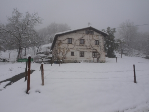 Basarte behekoa (Beasainmendin) elurtuta