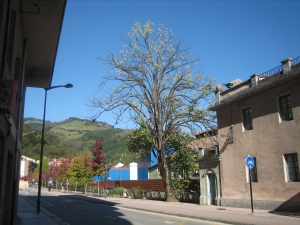 Porteriako ezkia