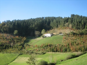 Arsuaran baserria
