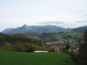 Aralar Beasaindik