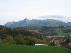 Aralar Beasaindik