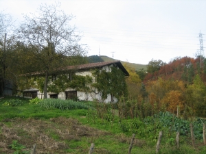Basarte Behekoa baserria.