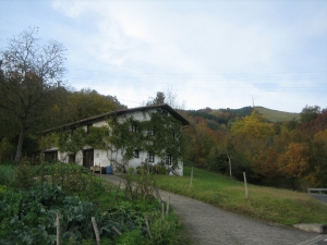 Basarte Behekoa baserria.
