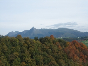 Aralar Beasaindik