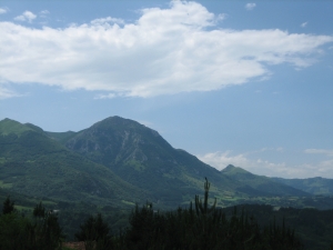 Txindokiko gaina