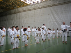 Shorinji-Kempo erakustaldia.